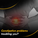 Ayurvedic Constipation Tablets (Swarnapatri Vati)(60 Tabs)