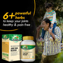 Joint Pain Medicine (Mridu Sandhigat Pida Har Vati)(60 Tabs)