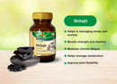 Zandu Shilajit & Zandu Vigorex Gold 