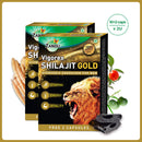 Vigorex Shilajit Gold (10+2 Caps)(Pack of 2)