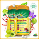 Kesari Jivan - FFD (450g) (Pack of 2)