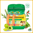 Chyavanprash Avaleha (450g) (Pack of 2)