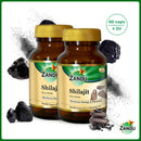Shilajit (60 Caps) (Pack of 2)