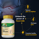 Piles Management (Arsha Rasayan Vati) (60 tab)