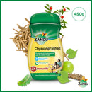 Chyavanprashad