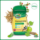 Chyavanprashad