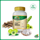 Amlapitta Har Vati, Acidity Regulator tablets, 60 tablets