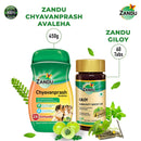 Chyavanprash Avaleha (450g) & Giloy (60 Caps) Combo