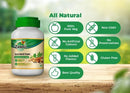 Ayush Kwath Powder (100g) (Pack of 3)