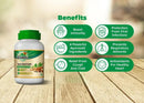 Ayush Kwath Powder (100g) (Pack of 3)