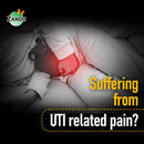 Ayurvedic Urinary Tract Management (Chakraangi Vati )(60 Tabs)