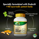 Ayurvedic Urinary Tract Management (Chakraangi Vati )(60 Tabs)