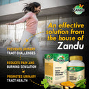Ayurvedic Urinary Tract Management (Chakraangi Vati )(60 Tabs)