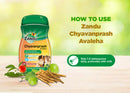 Zandu Chyavanprash Avaleha (900g) & Zandu Ayush Kwath ghan (30 Sachets)