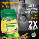 झंडू च्यवनप्राश (900 ग्रा) (2 का पैक)