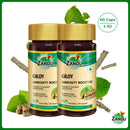 Giloy (60 Caps) (Pack of 2)