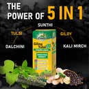 Giloy Tulsi + 3 herbs health juice (1L) (Pack of 2)