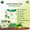 Ginger Celery Herbal Infusion (25 Tea Bags)(Pack of 2)