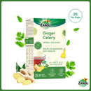 Ginger Celery Herbal Infusion (25 Tea Bags)
