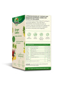 Pure Honey with Ginger (650g) & FREE Ginger Celery Herbal Infusion (25 Tea Bags)