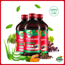 Pancharishta (450ml)(Pack of 3)