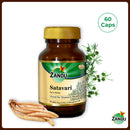Satavari (60 Caps)