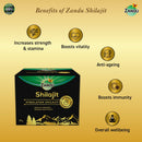 Himalayan Pure Shilajit Resin (20g)