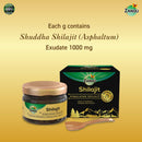Himalayan Pure Shilajit Resin (20g)