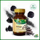 Shilajit (60 Caps)