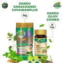 Sonachandi (900g) & Giloy (60 Caps)