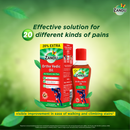 Ortho Vedic Oil (100ml)