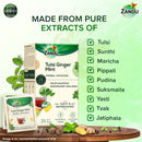Tulsi Ginger Mint Herbal Infusion (25 Tea Bags)