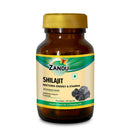 Shilajit (60 Caps)