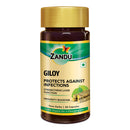 Giloy (60 Caps) (Pack of 2)