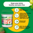 Swasthyaveda Joint Therapy Kit