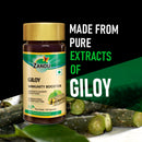 Giloy (60 Caps) (Pack of 2)